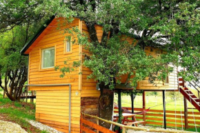 Bird's Nest Treehouse